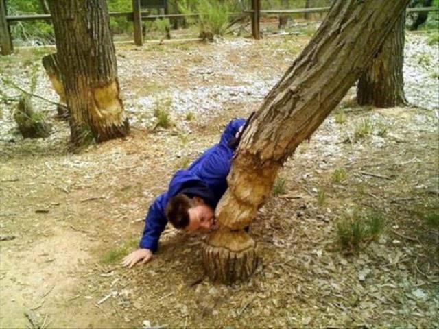 Strange Finds And Situations (49 pics)