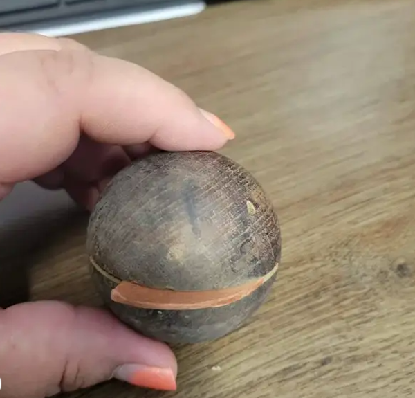 What Are These Things? (13 pics)