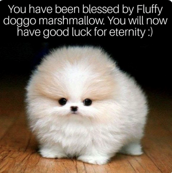 Funny Memes (26 pics)