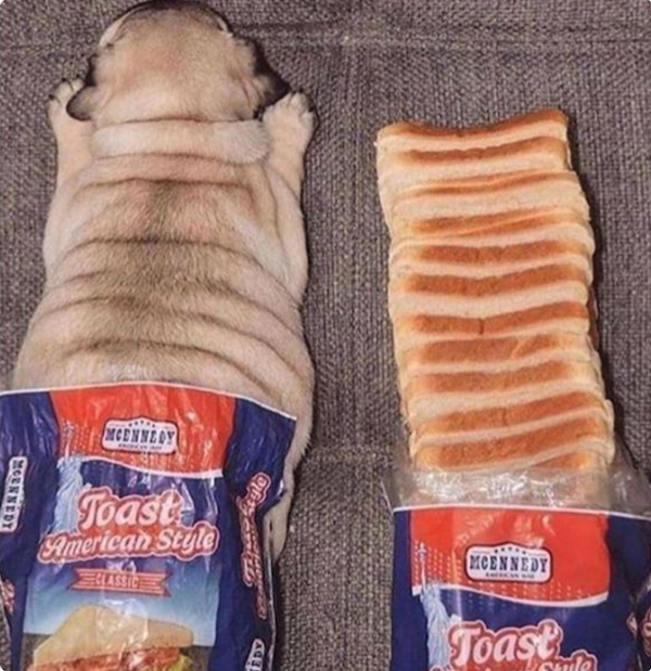 Funny Memes (26 pics)