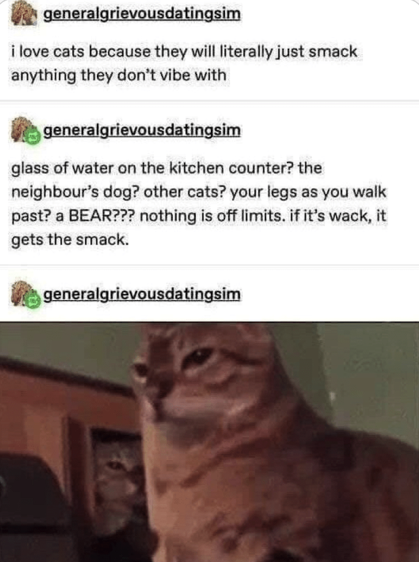Funny Memes (26 pics)