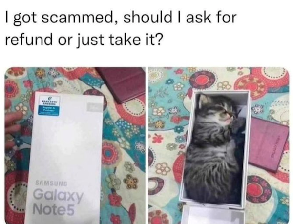 Funny Memes (26 pics)