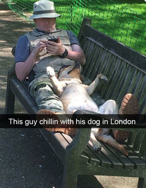 Funny Memes (26 pics)