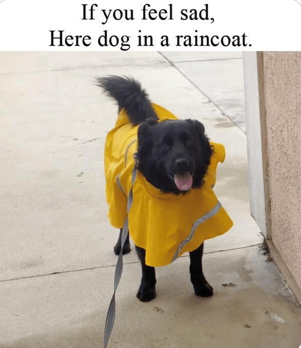 Funny Memes (26 pics)