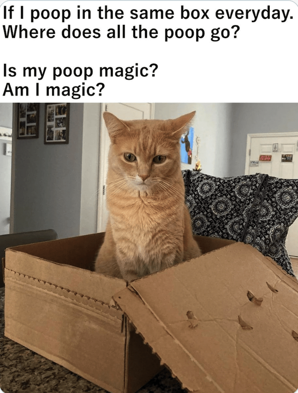 Funny Memes (26 pics)