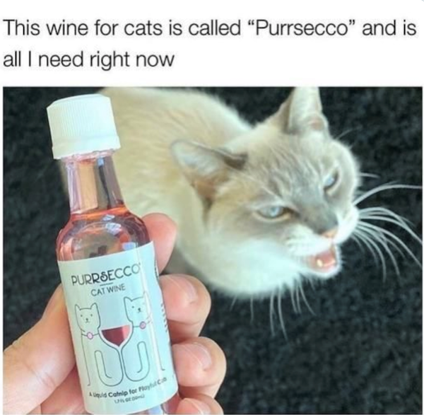 Funny Memes (26 pics)