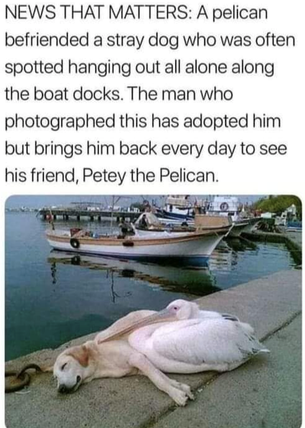 Funny Memes (26 pics)