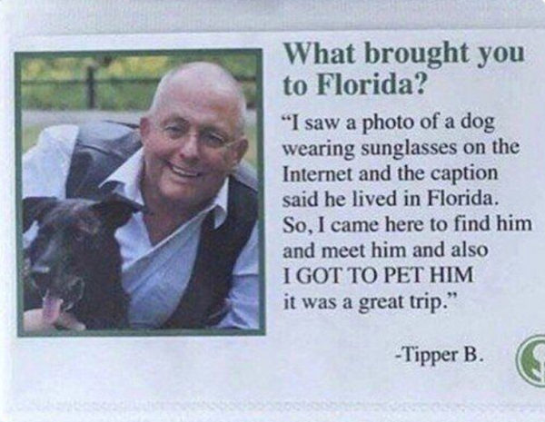 Funny Memes (26 pics)