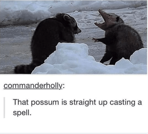 Funny Memes (26 pics)