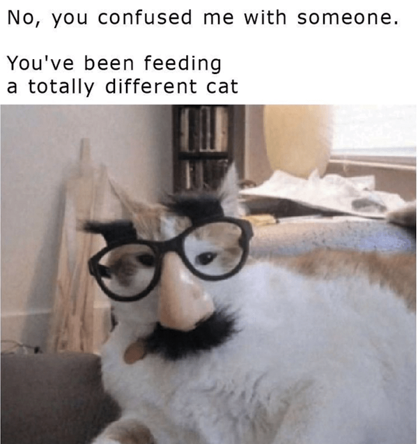 Funny Memes (26 pics)