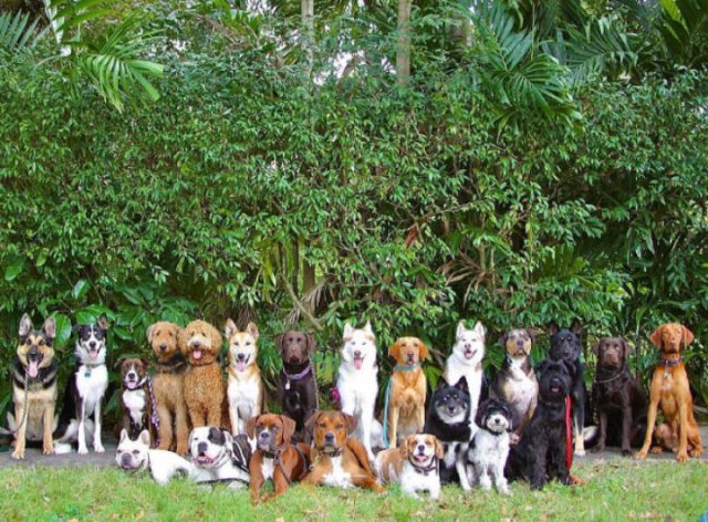 Perfect Group Photos (23 pics)