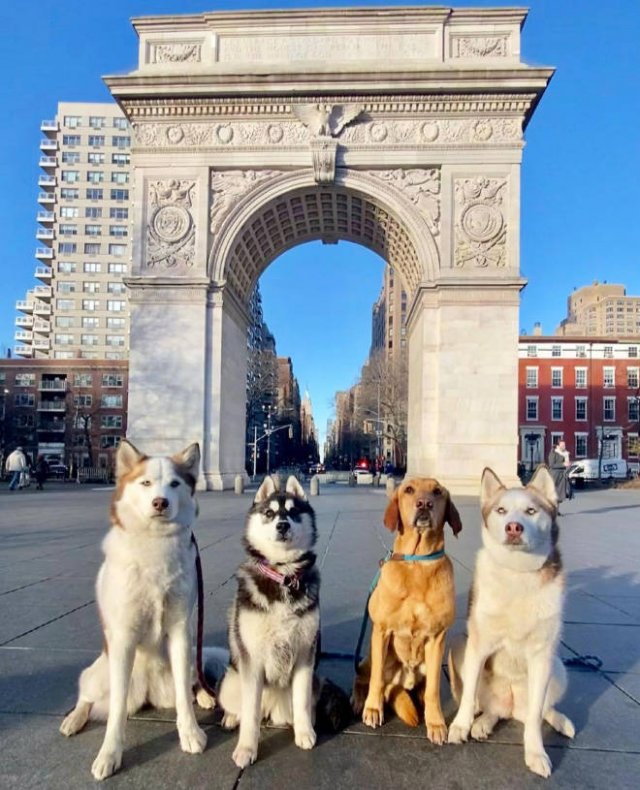 Perfect Group Photos (23 pics)