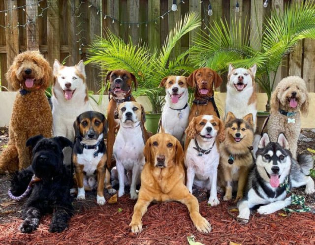 Perfect Group Photos (23 pics)