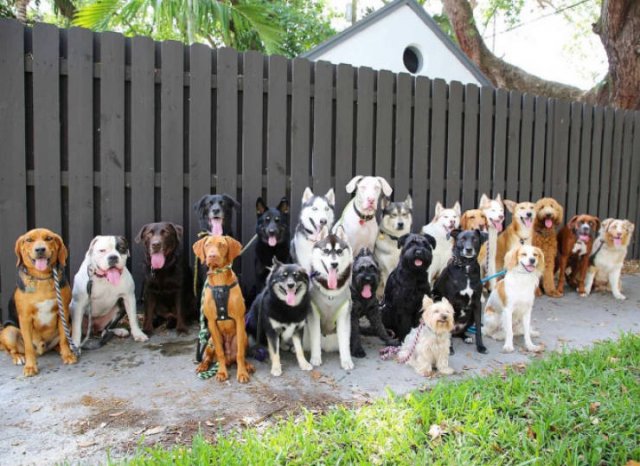 Perfect Group Photos (23 pics)