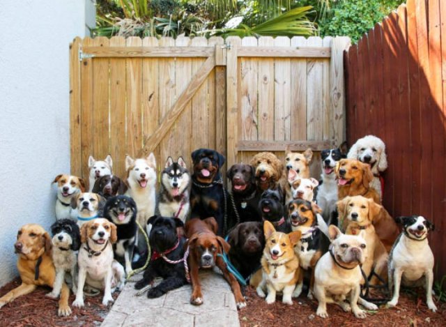 Perfect Group Photos (23 pics)