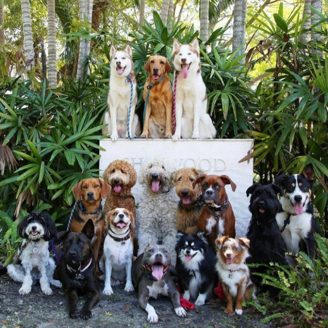 Perfect Group Photos (23 pics)