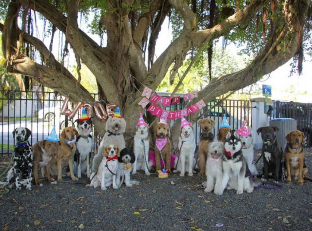 Perfect Group Photos (23 pics)