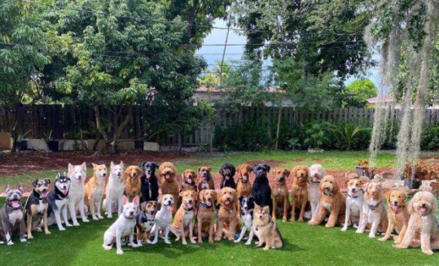 Perfect Group Photos (23 pics)