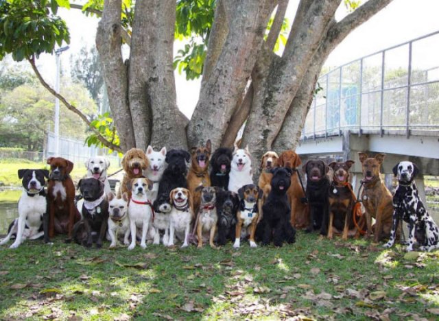 Perfect Group Photos (23 pics)