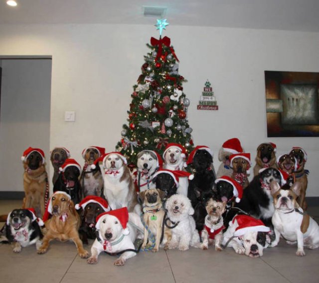Perfect Group Photos (23 pics)