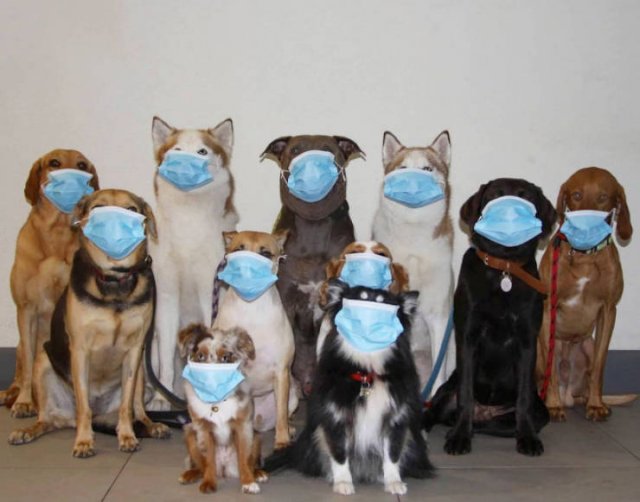 Perfect Group Photos (23 pics)