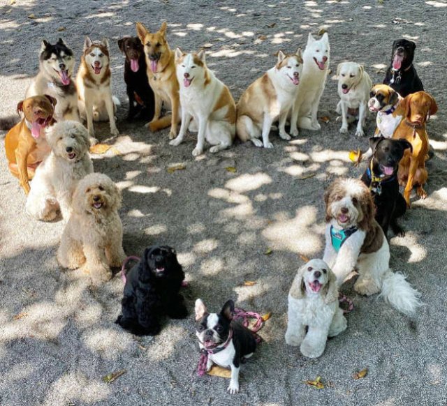 Perfect Group Photos (23 pics)