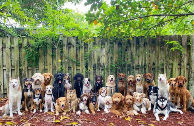 Perfect Group Photos (23 pics)