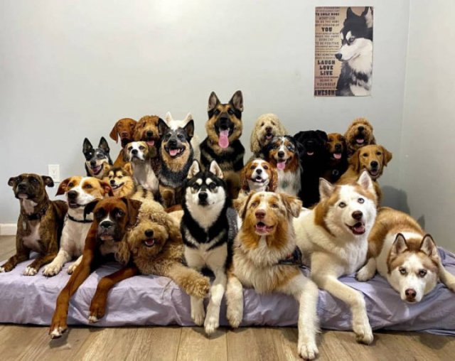 Perfect Group Photos (23 pics)