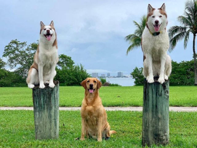Perfect Group Photos (23 pics)