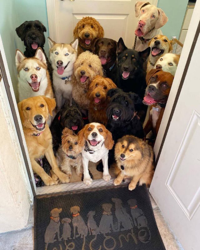 Perfect Group Photos (23 pics)