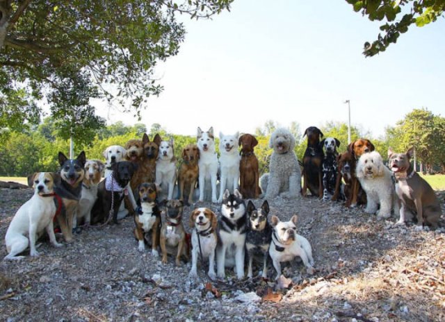 Perfect Group Photos (23 pics)