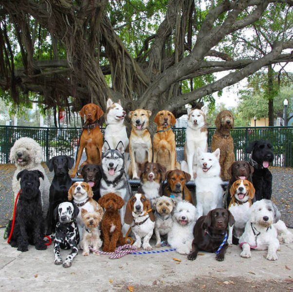Perfect Group Photos (23 pics)