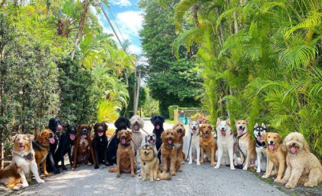 Perfect Group Photos (23 pics)