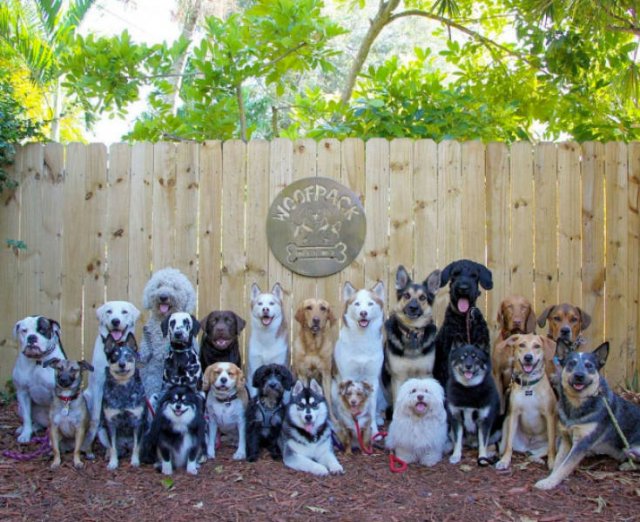 Perfect Group Photos (23 pics)