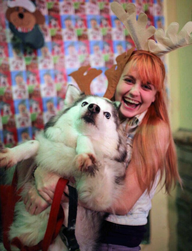 They Love Christmas (25 pics) They Love Christmas (25 pics)