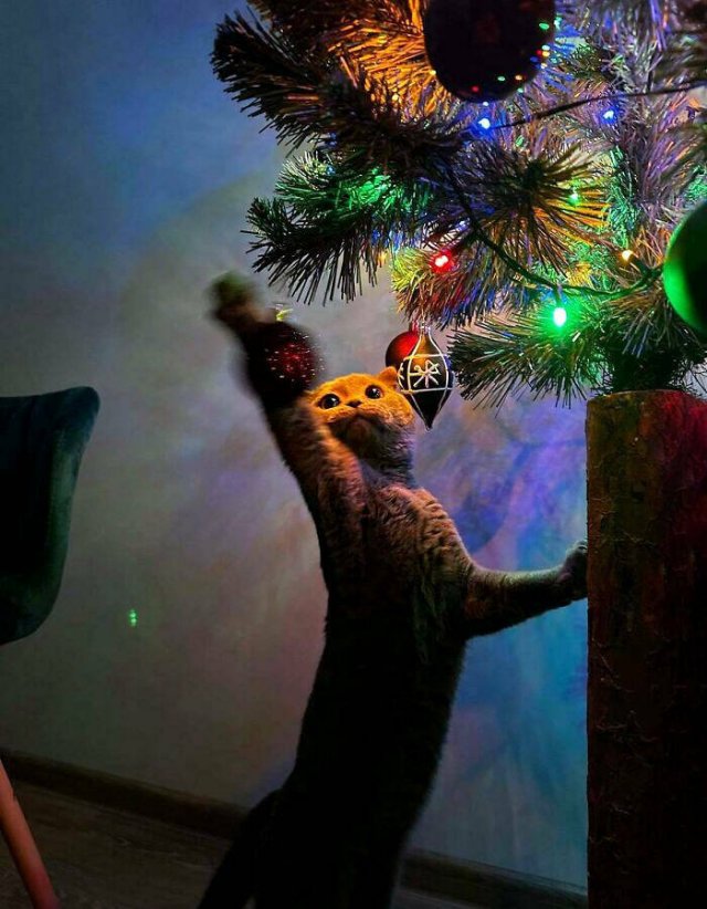 They Love Christmas (25 pics) They Love Christmas (25 pics)