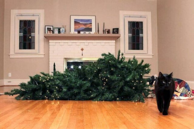 They Love Christmas (25 pics) They Love Christmas (25 pics)