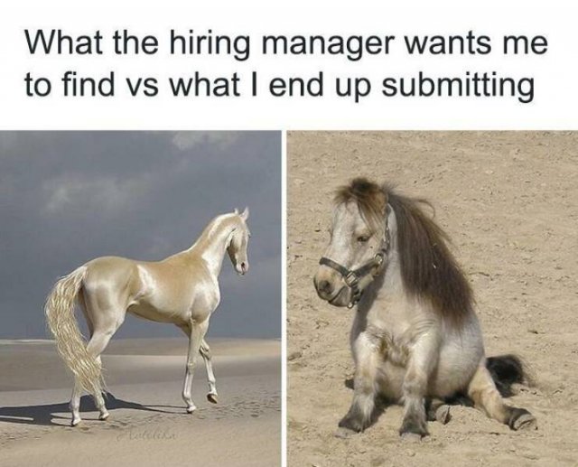 Recruiter Humor (24 pics)