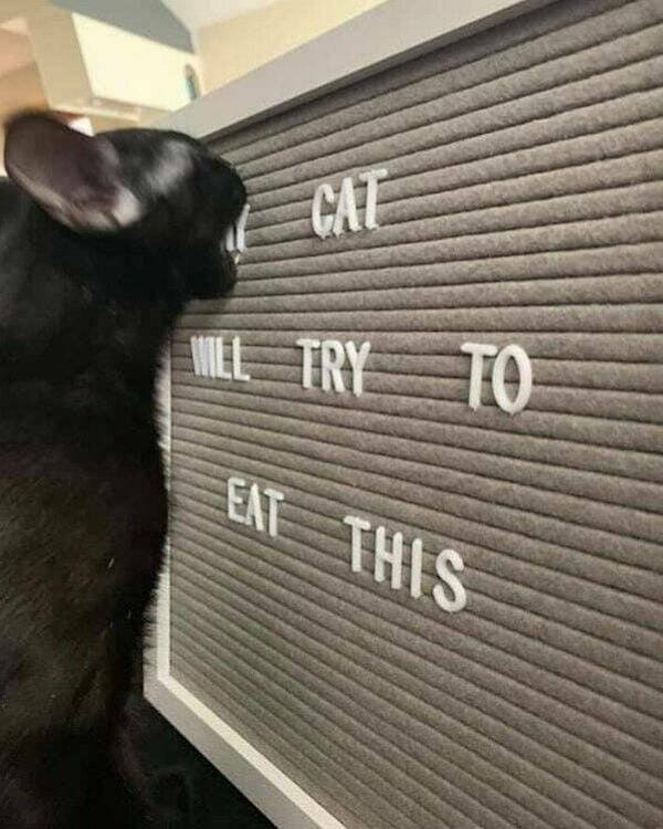 Funny Memes (24 pics)