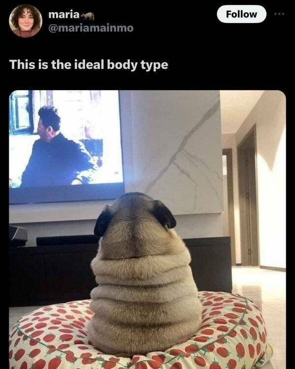 Funny Memes (24 pics)