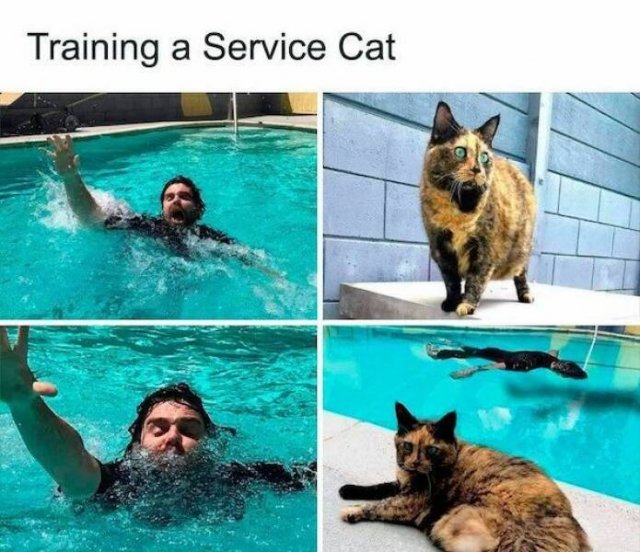 Funny Memes (24 pics)