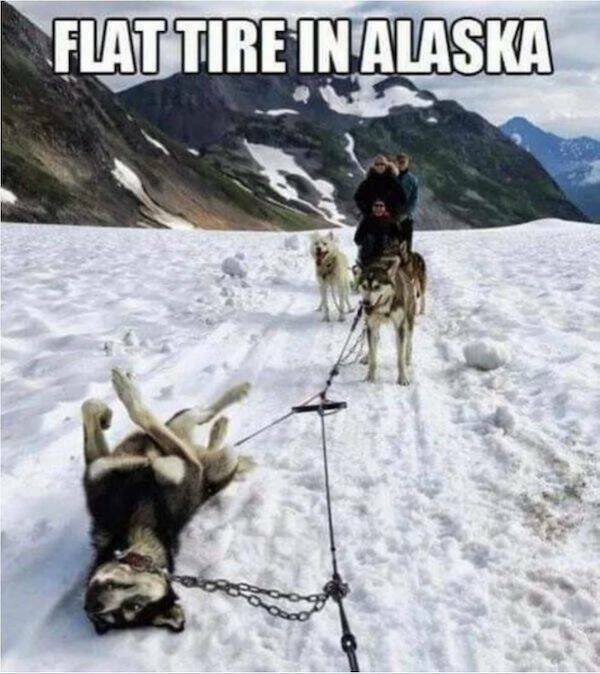 Funny Memes (24 pics)