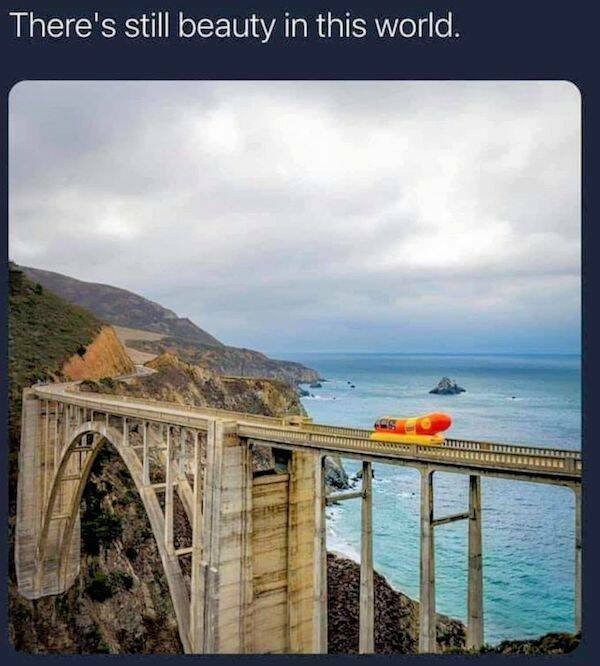 Funny Memes (24 pics)