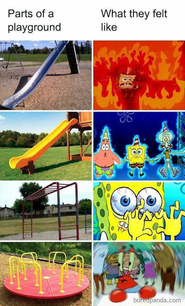 Funny Memes (24 pics)