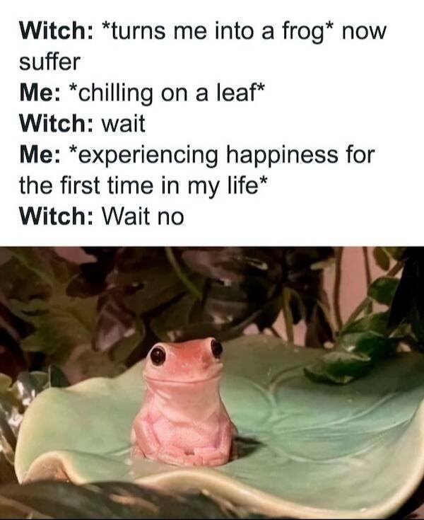 Funny Memes (24 pics)