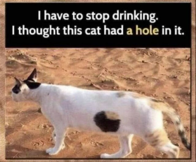Funny Memes (24 pics)