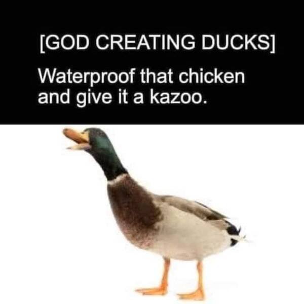 Funny Memes (24 pics)