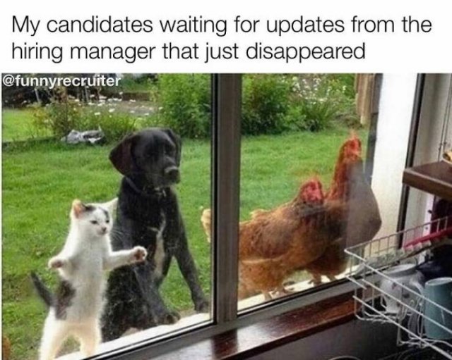 Recruiter Humor (24 pics)