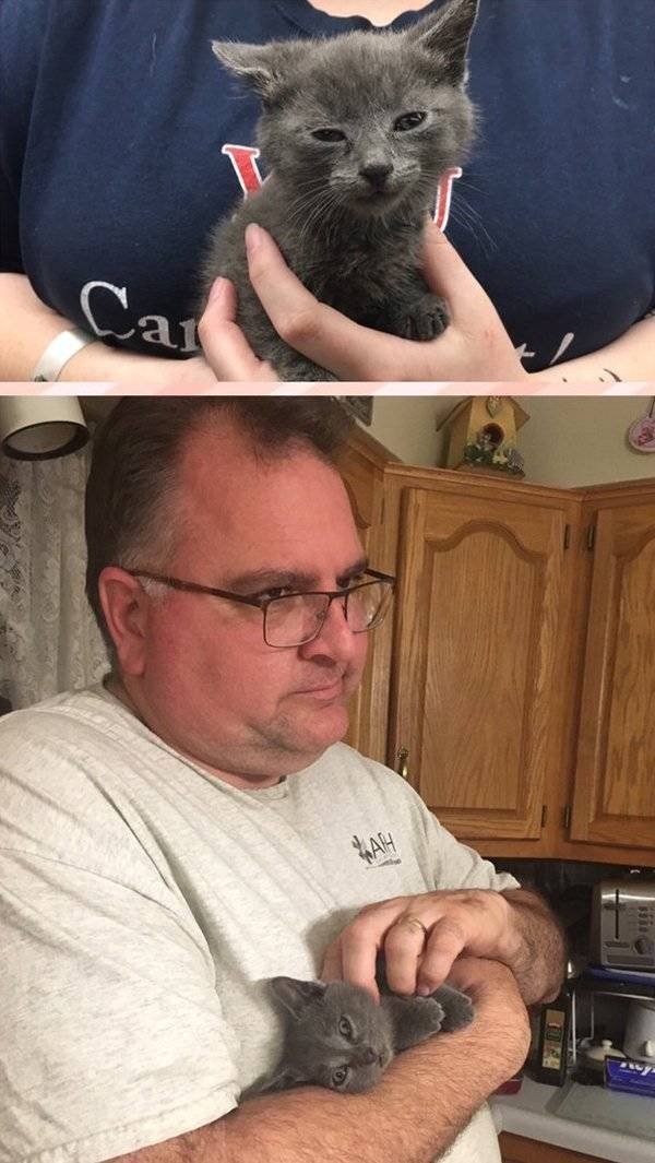 Pets Before And After Adoption (32 pics)
