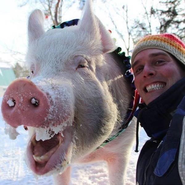 Funny Animals (53 pics)